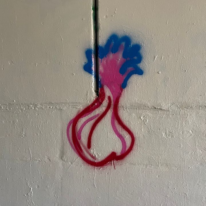 Radish