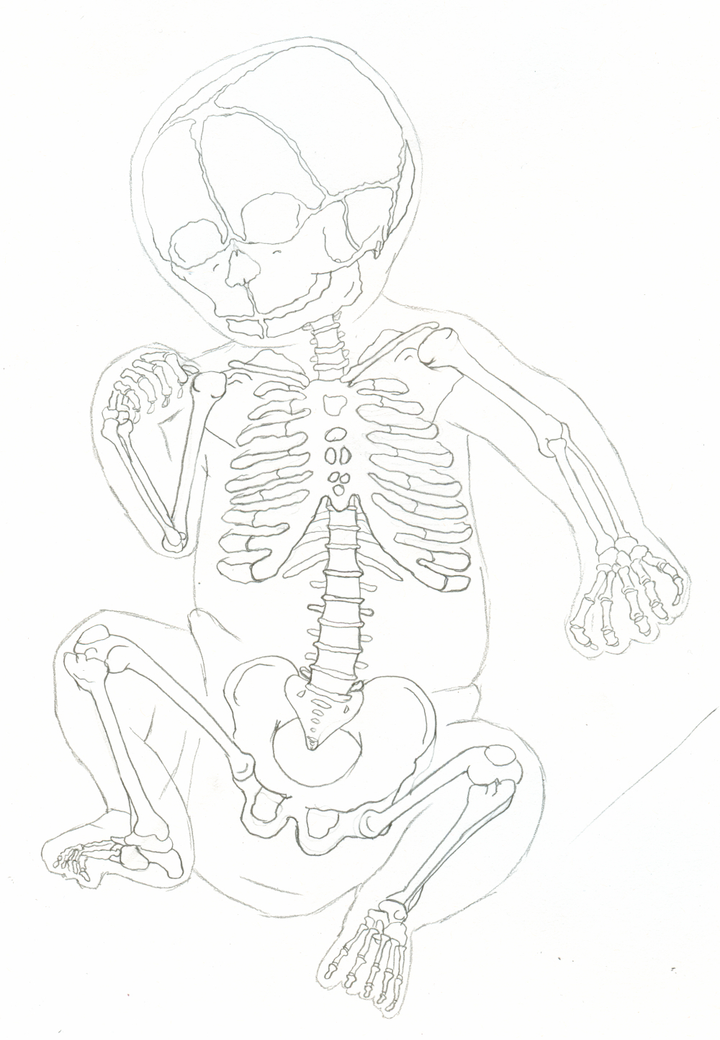Baby skeleton