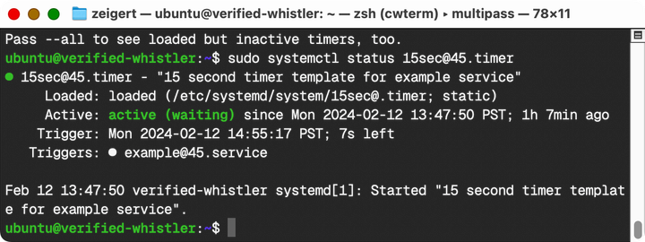 Screenshot of result of running systemctl status for a systemd timer.